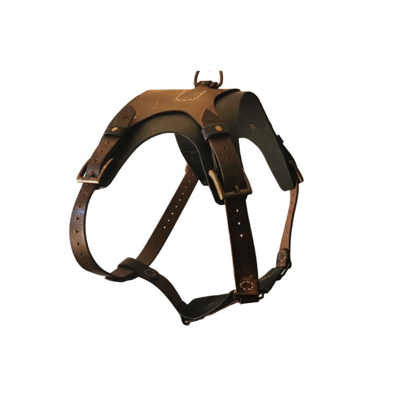 Leather dog harness