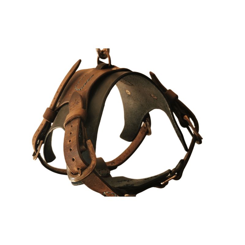 Leather dog harness